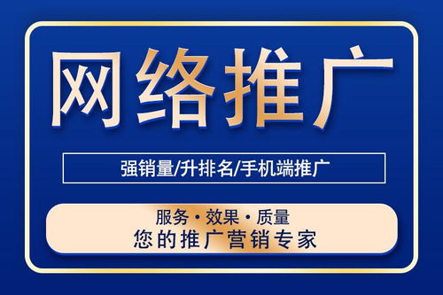 網(wǎng)絡(luò)推廣的全面解析 技巧與信息技術(shù)服務(wù)